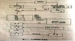 C:\Users\Administrator\Documents\Tencent Files\313729845\FileRecv\MobileFile\IMG_2642.JPG